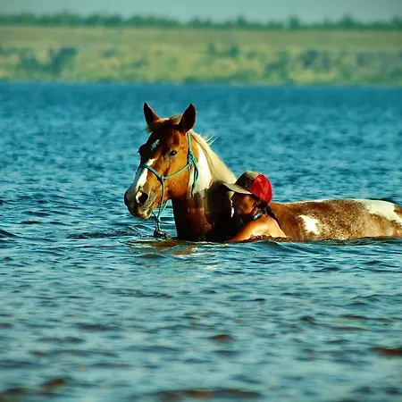 W Diamonds Ranch Grossraeschen