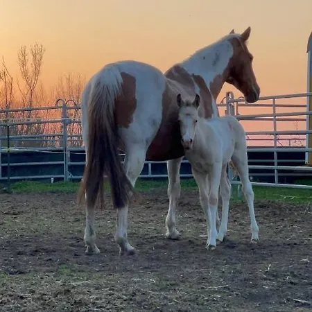 W Diamonds Ranch Appartement Grossraeschen