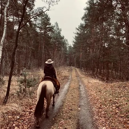 W Diamonds Ranch Grossraeschen