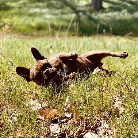 Appartement W Diamonds Ranch *