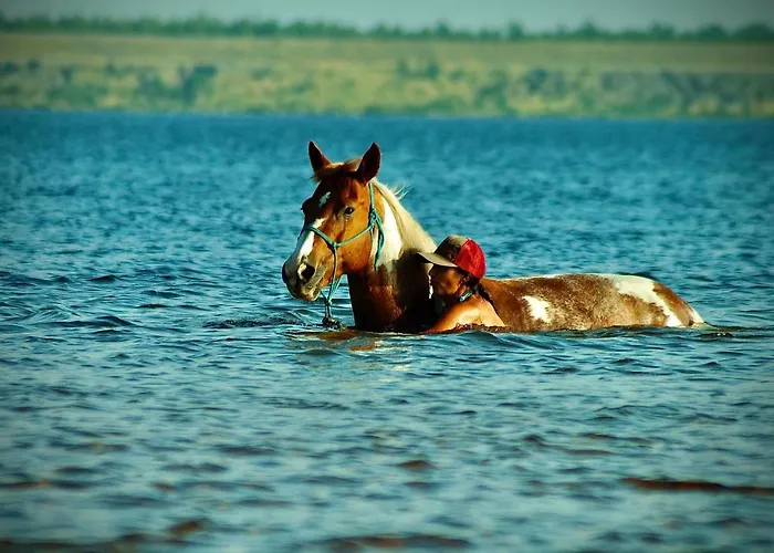 W Diamonds Ranch Grossraeschen