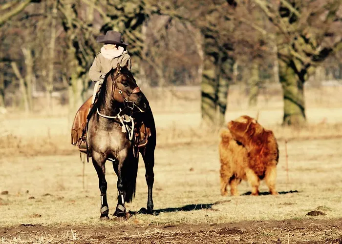 W Diamonds Ranch Apartmán *