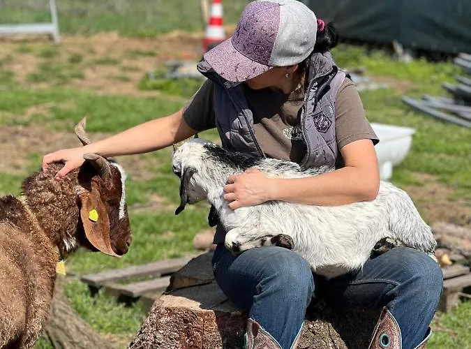 Apartmán W Diamonds Ranch *