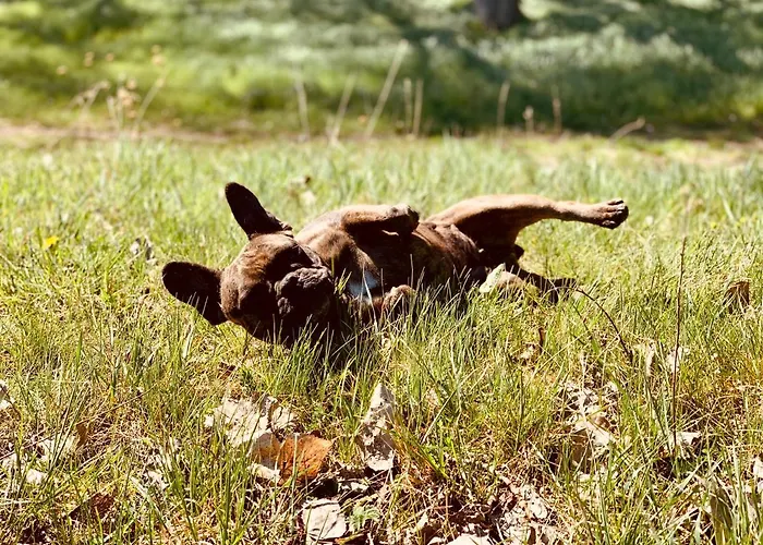 Apartmán W Diamonds Ranch *